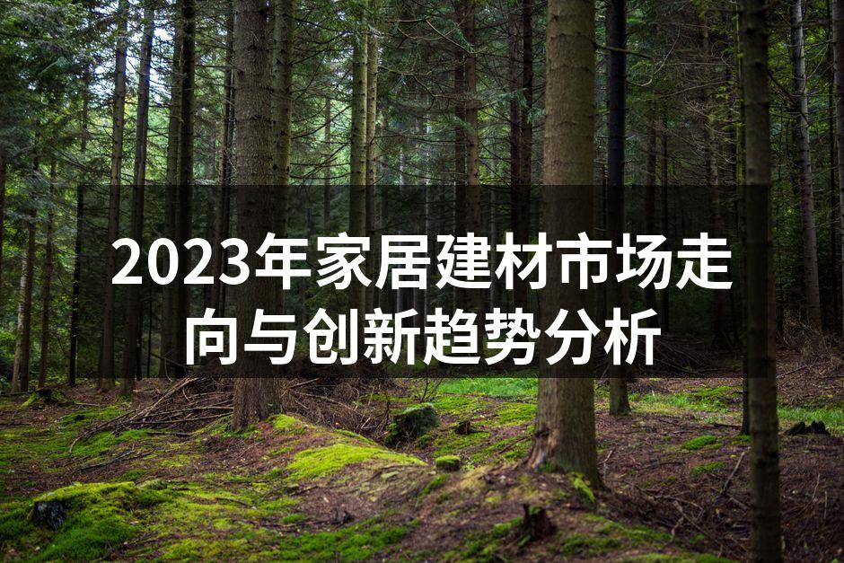 2023年家居建材市场走向与创新趋势分析
