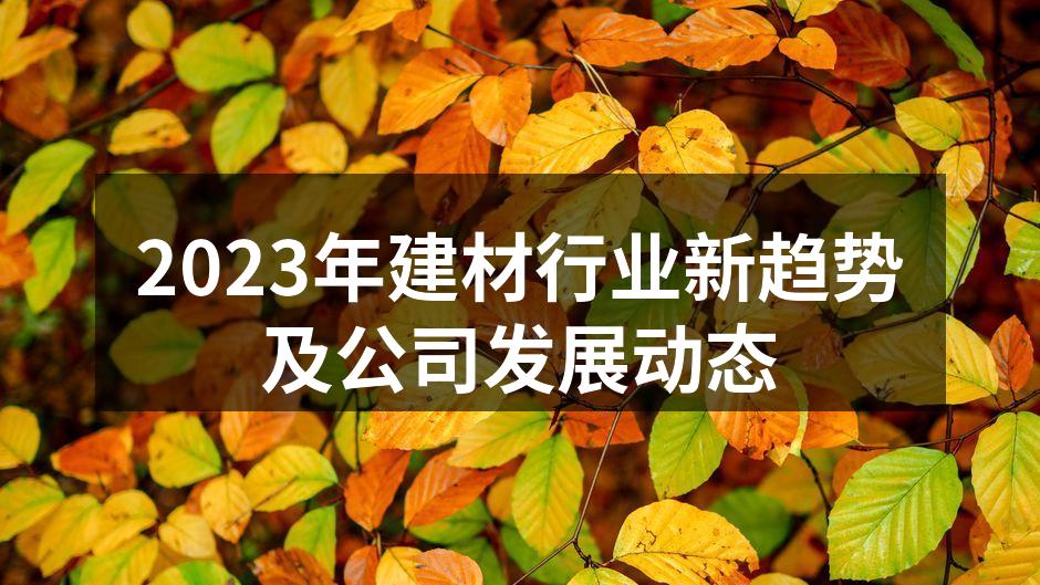 2023年建材行业新趋势及公司发展动态